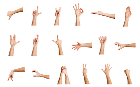 learn american sign language